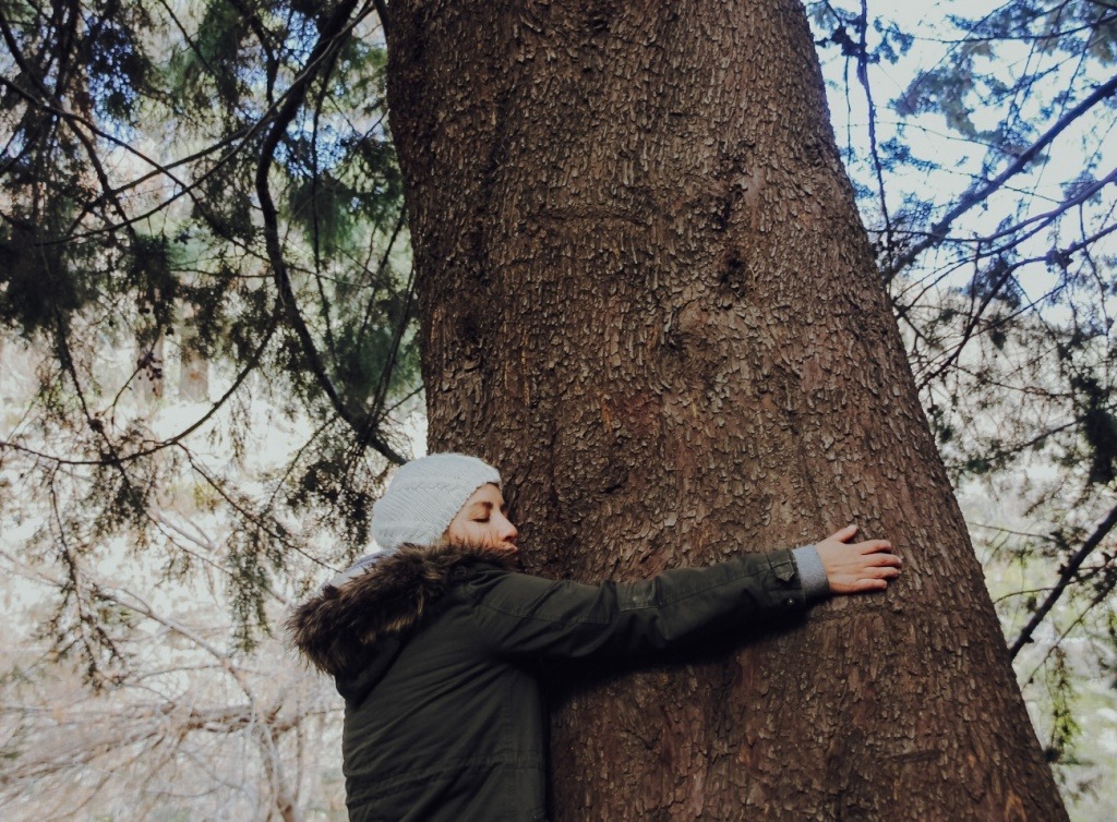 Mujer abrazando un árbol en una terapia de baño de bosque en Santiago
